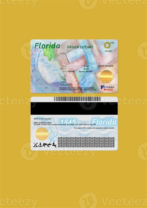 Editable Blank Florida Driver License Dl Template 17153974 Stock Photo