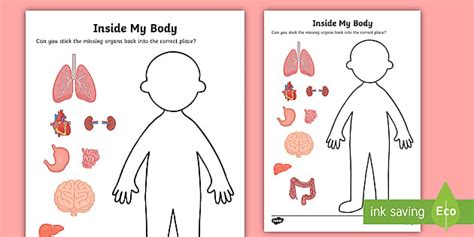 Free Inside My Body Human Organs Worksheet Twinkl