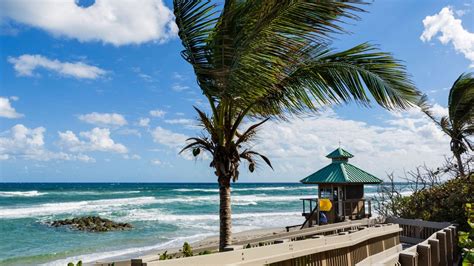 Find boca raton fl information about travel, insurance, utilities, real estate and sites to see. Brand New Boca Raton Hotel - Hyatt Place Raton/Downtown