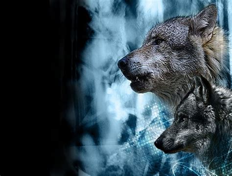 Ghost Wolves Predator Fantastic Nebulous Wolf Potrait Hd