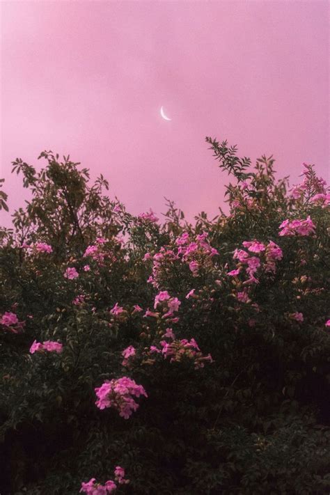 Beauty in all things... | Pretty wallpapers, Sky aesthetic, Aesthetic