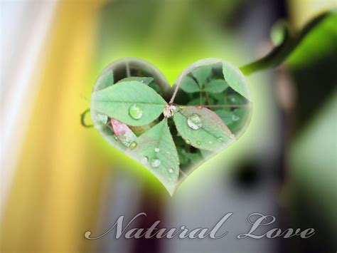 Nature Love By Chokri On Deviantart