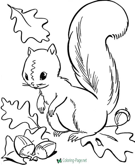 You'll also find a few fall activity worksheets here such as connect the dots. Squirrel - Free Autumn Coloring Pages