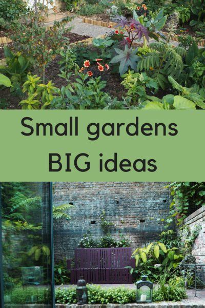 Why A Successful Small Garden Needs A Big Idea The