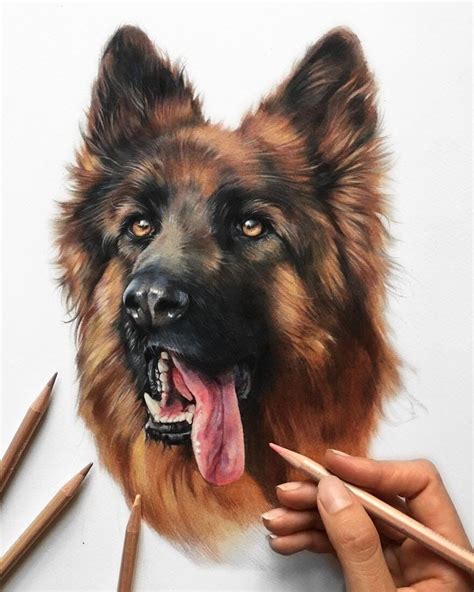 Gorgeous Expressions In Dog Drawings Dog Drawing Dog Portrait