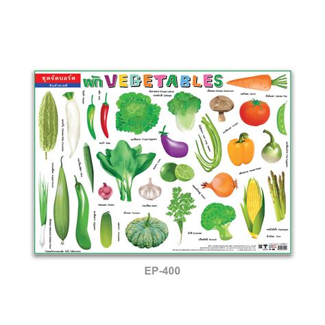 ชุดจัดบอร์ดผัก Vegetables - 2 ภาษา #EP-400