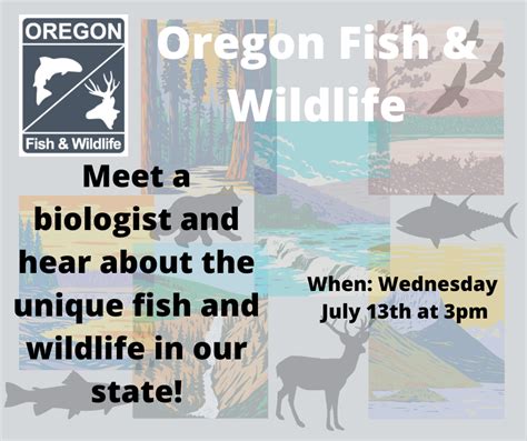 Oregon Fish And Wildlife Biologist Presentation Clatskanie Library