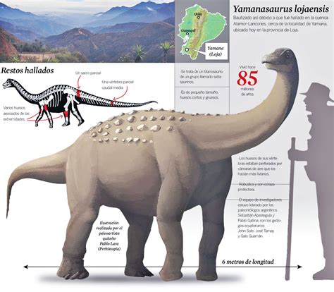 Fósiles De Titanosaurio Fueron Hallados Por Primera Vez En Ecuador