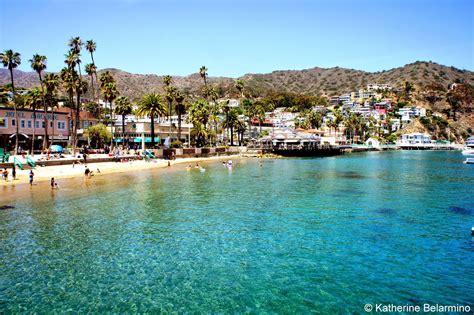 Download How to go to Catalina Island Completely for Free - DeziStyle
