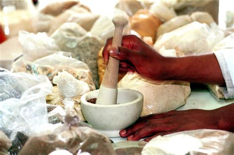 How Traditional African Medicine Can Heal The Modern World Herbalism
