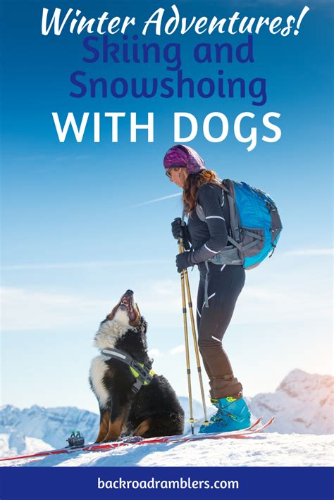 Our Favorite Tips For Skiing And Snowshoeing With Dogs