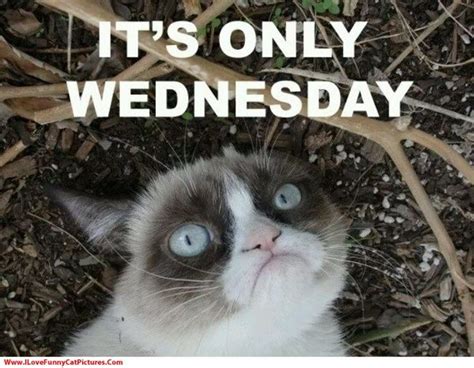 Let these funny work quotes add a smile to your day. Wednesday Memes - Funny Happy Wednesday Images
