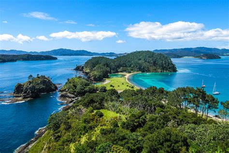 Bay Of Islands Tour Swim With Dolphins In New Zealand