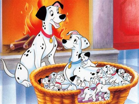 Dalmatian dog perdita pongo cruella de vil the 101 dalmatians musical, puppy 101 dalmatians, white and black 101 dalmatian puppy illustration, mammal, carnivoran, dog like mammal png. 101 Dalmatians