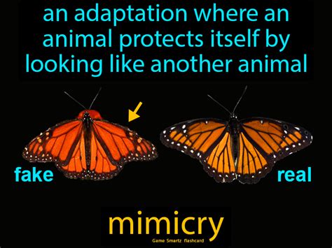 Top 180 Animals That Use Mimicry As An Adaptation Electric