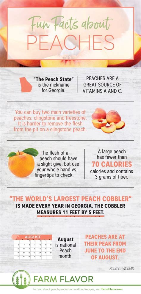 8 Fun Facts About Peaches Infographic Peach Fun Facts Peach Recipe