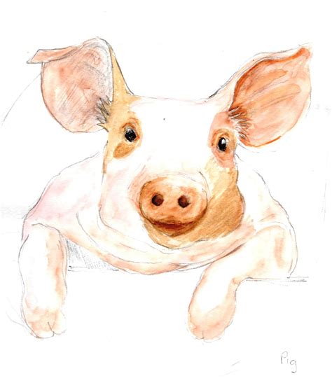 Pig Illustration Pig Illustration Illustrations Pig Drawing Pig Art