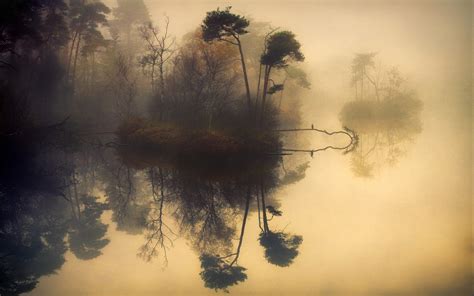 Nature Landscape Water Forest Lake Uk Scotland Trees Shrubs Reflection