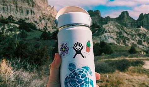 Hydro Flask Closes Out Another Robust Year Sgb Media Online