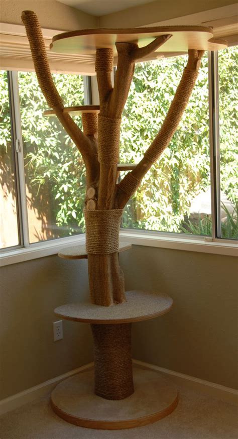 20 Beautiful Natural Cat Tree Decoomo