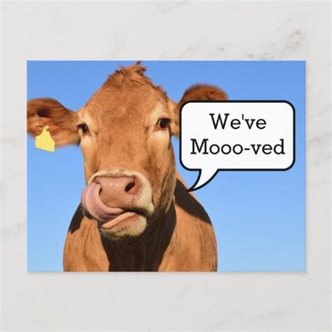 Funny Moving House Weve Moved Announcement Postcard