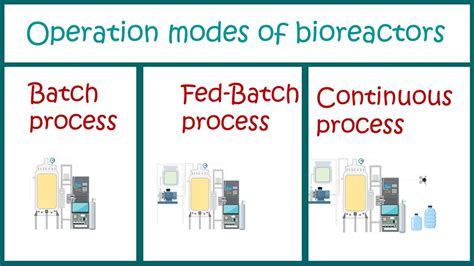 Types Of Bioprocesses Batch Fed Batch And Continuous Processes