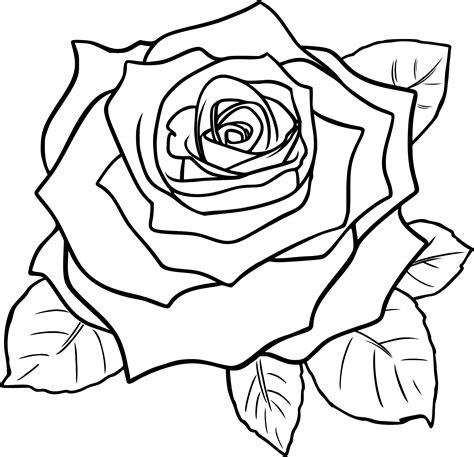 Безплатно рисуване на линия от роза Изтеглете безплатни картинки