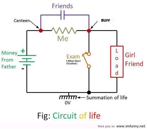 Block diagrams, often used for higher level, less detailed descriptions for understanding overall concepts, use the same easy drawing tools and are easy. Circuit of life