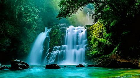 Hd Wallpaper Costa Rica La Paz Waterfall Forest River Rainforest
