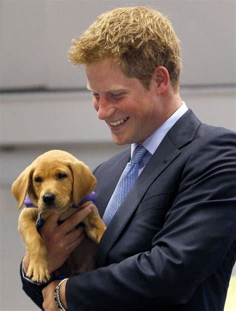 16 times prince harry made us royally swoon the hollywood gossip