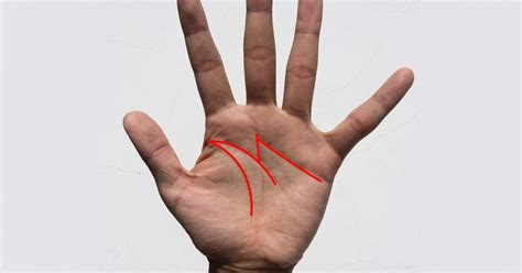 Avere la 'M' sul palmo della mano ha un importante ...