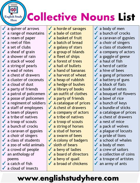 Detailed Collective Nouns List In English English Grammar Rules