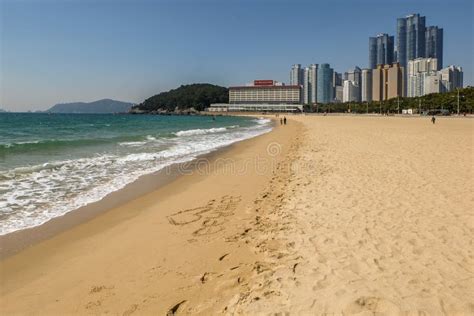 Haeundae Beach Editorial Image Image Of Korean Bright 182664120