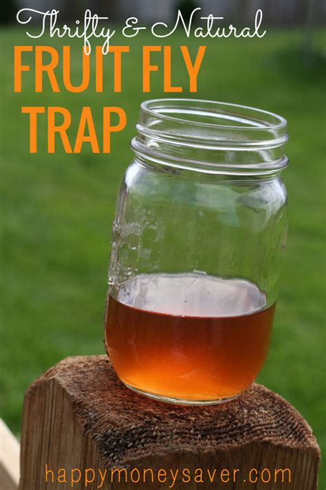 The Best Fruit Fly Trap Using Vinegar And Dish Soap They Must Die