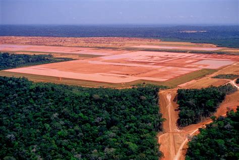 Amazonie : Sa déforestation a augmenté de 88% en un an ...