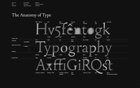 Anatomia Del Carattere Tipografico Typeface Anatomy Abcdefwiki