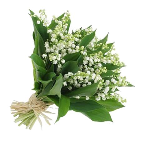 Votre bouquet est réalisé par un artisan fleuriste près de chez vous. LE MUGUET - FLEURS DU 1ER MAI