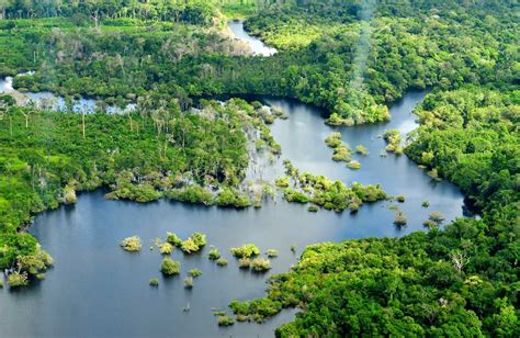 Imperiled Amazon Freshwater Ecosystems Urgently Need Basin Wide Study