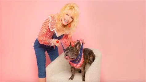 Dolly Parton Just Launched A ‘doggy Parton Pet Apparel Line On Amazon
