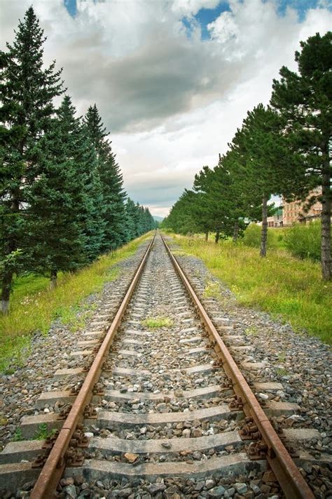 Railway Track In Perspective Stock Photography Image 12781692