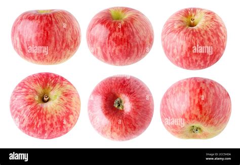Isolated Red Apples Collection Of Whole Red Striped Apple Fruits At