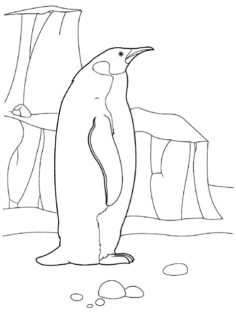 Antarctica Coloring Pages To Download And Print For Free