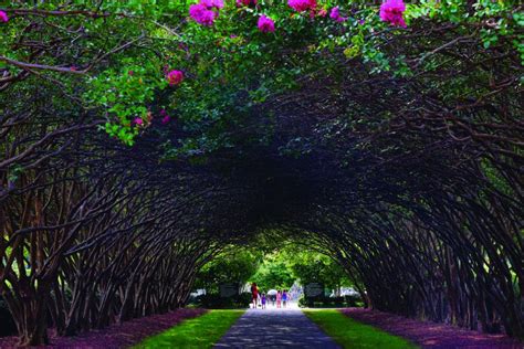 Dallas Arboretum And Botanical Garden Dallas Attractions Review
