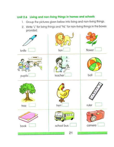 Living And Non Living Thing Worksheet