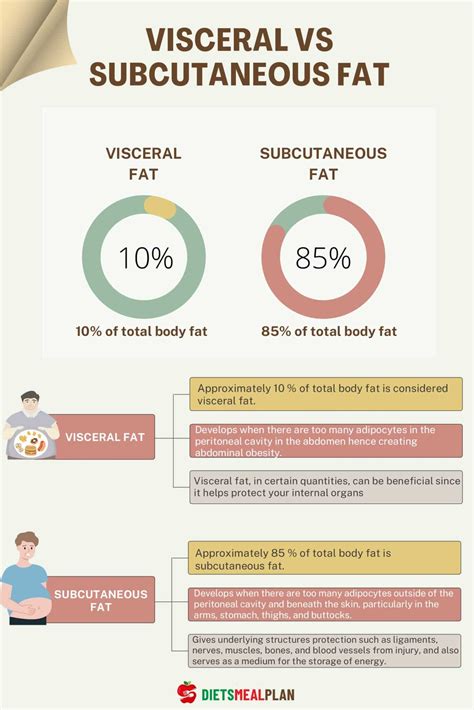 Visceral Vs Subcutaneous Fat Diets Meal Plan