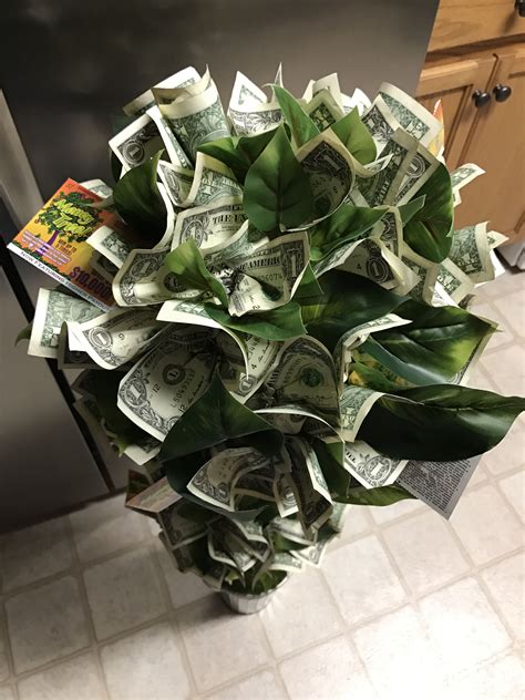 Money Tree | Money trees, Succulents, Plants