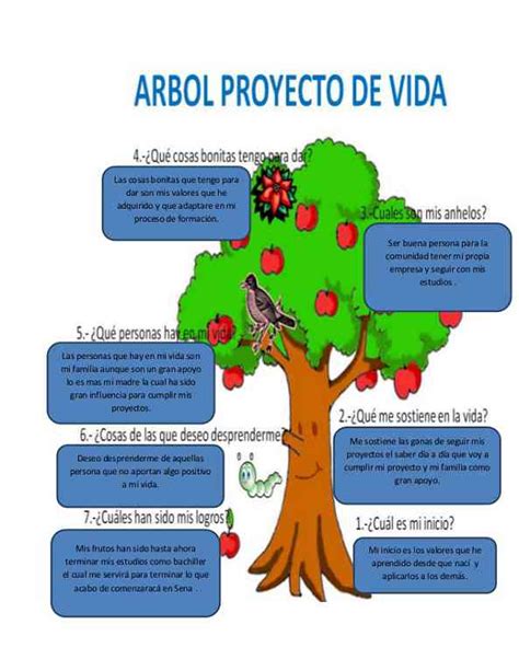 ¿cómo Hacer Un Proyecto De Vida Y Cuáles Son Sus Partes Consejo Del