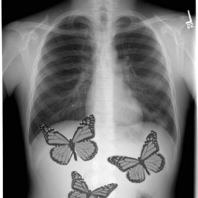 And you don't know what to do in that moment, except feel happy. 8tracks radio | Butterflies In My Stomach (17 songs ...