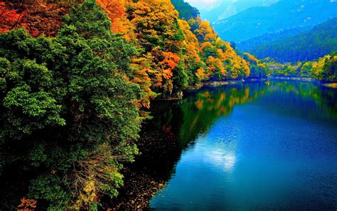 Autumn Trees On The Lake Hd Wallpaper Background Image