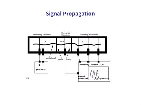 Ppt Signal Propagation Powerpoint Presentation Free Download Id